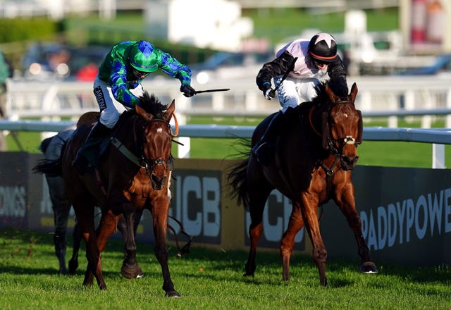 French Dynamite (right) finishing second in the Paddy Power Gold Cup at Cheltenham in November 