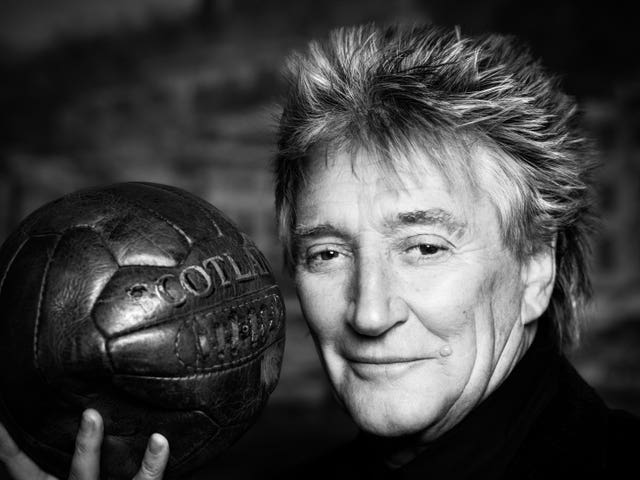 The portrait of Sir Rod Stewart (Zoe Law/National Portrait Gallery/PA)