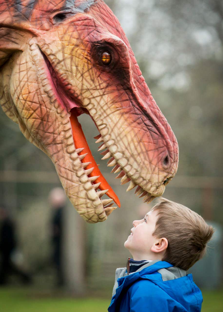 Brainy Velociraptor ‘hunted in packs' The Irish News