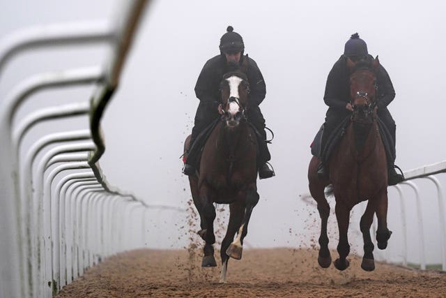 Horses on the gallops during a visit to Dan Skelton’s yard