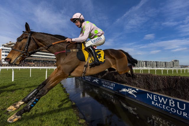 Royale Pagaille, here running in the Denman Chase at Newbury, has been handed an assignment in the King George VI Chase at Kempton on Boxing Day