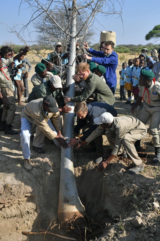 The Duke of Sussex lends a hand planting a tree