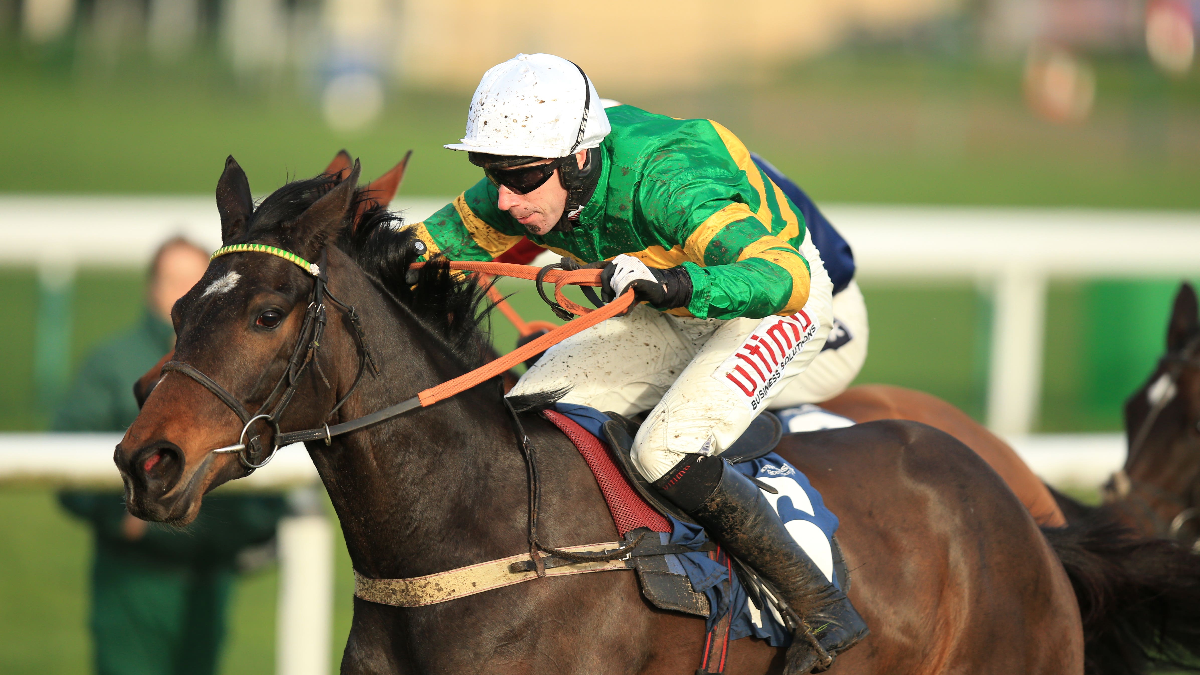 Troytown Chase at Navan under consideration for thriving Winter Escape - Racing TV