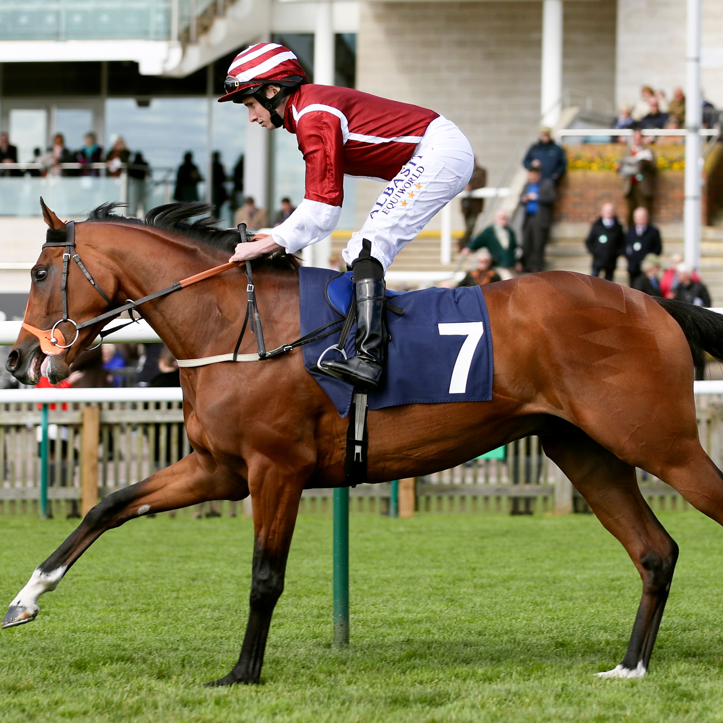 Salouen, who ran another tremendous race in the Arc