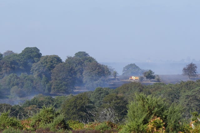 New Forest heathland fire