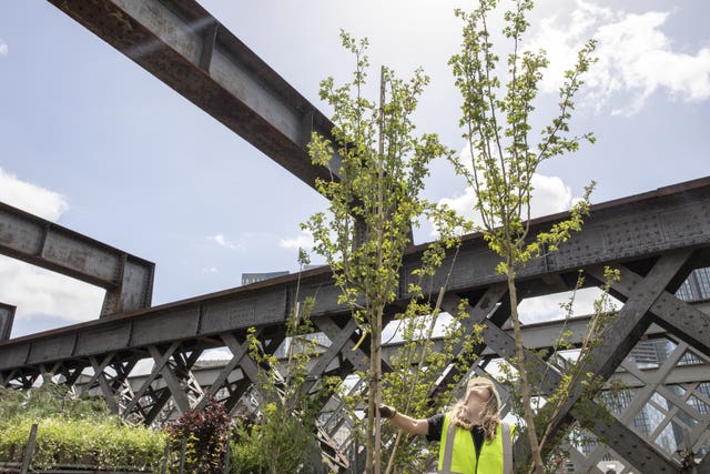 National Trust’s urban project at Manchester Viaduct