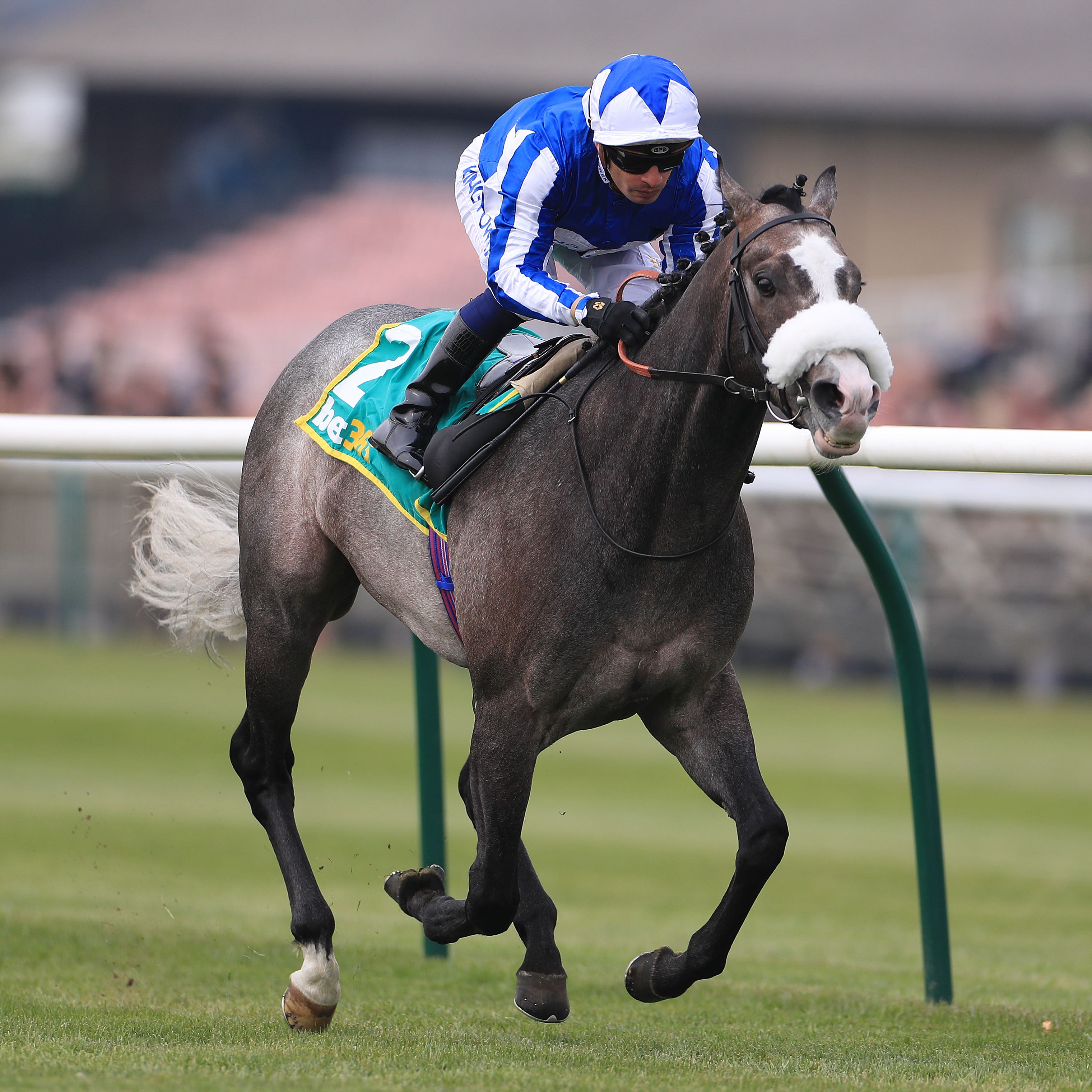 Shine So Bright made all the running in the Free Handicap