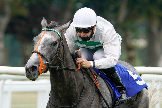 Alpinista is a leading contender for the Park Hill Stakes