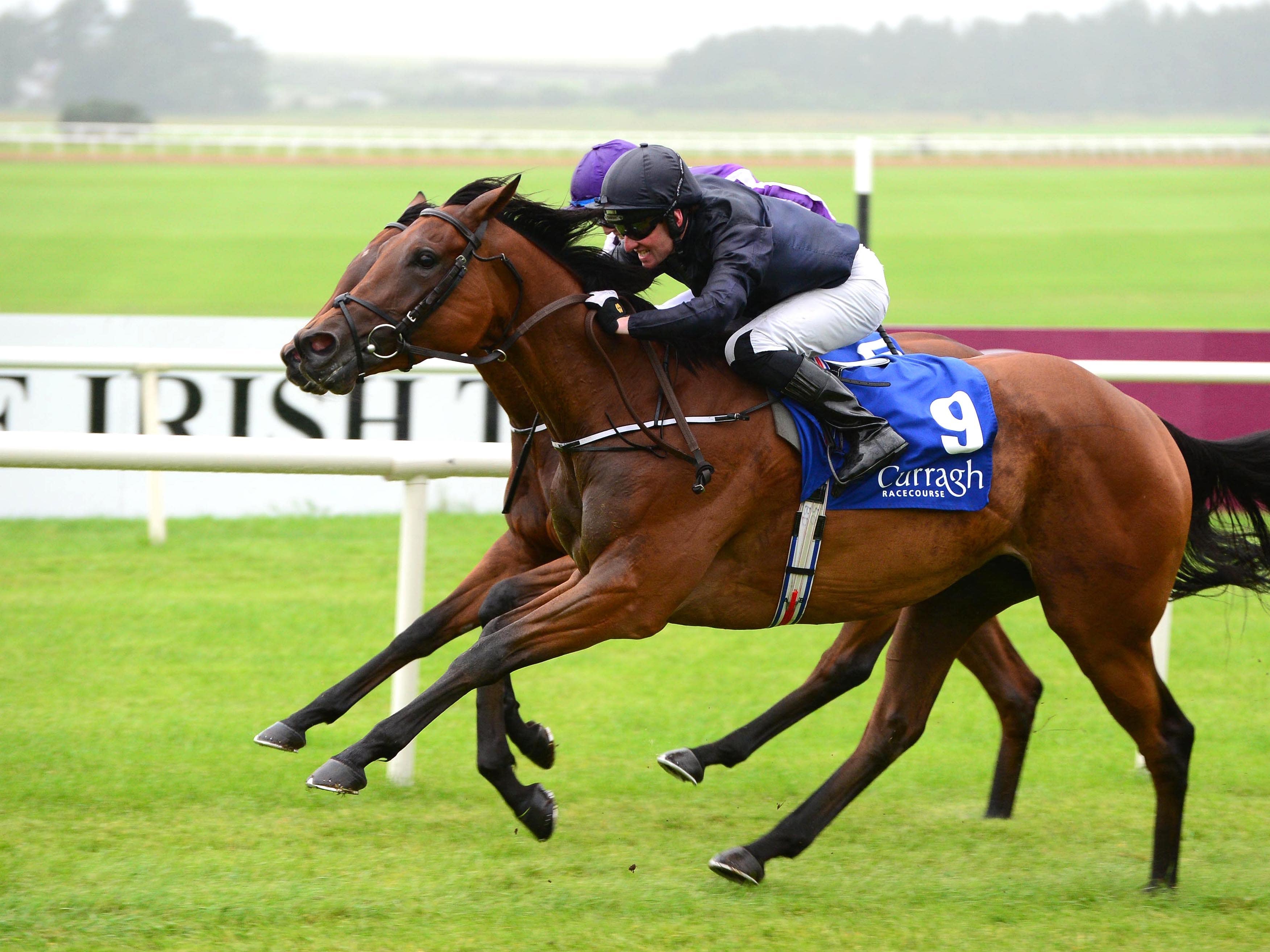 ante post betting 1000 guineas new market