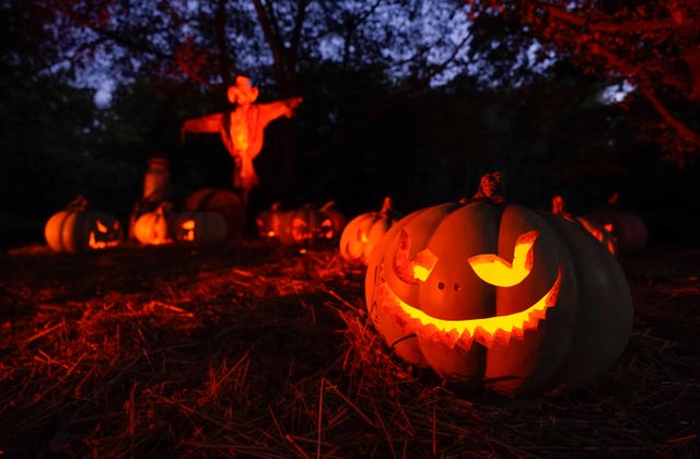 Pumpkins with faces carved into them and a scarecrow in the Possessed Pumpkin Farm on the Halloween trail at the Royal Botanic Gardens, Kew, in London