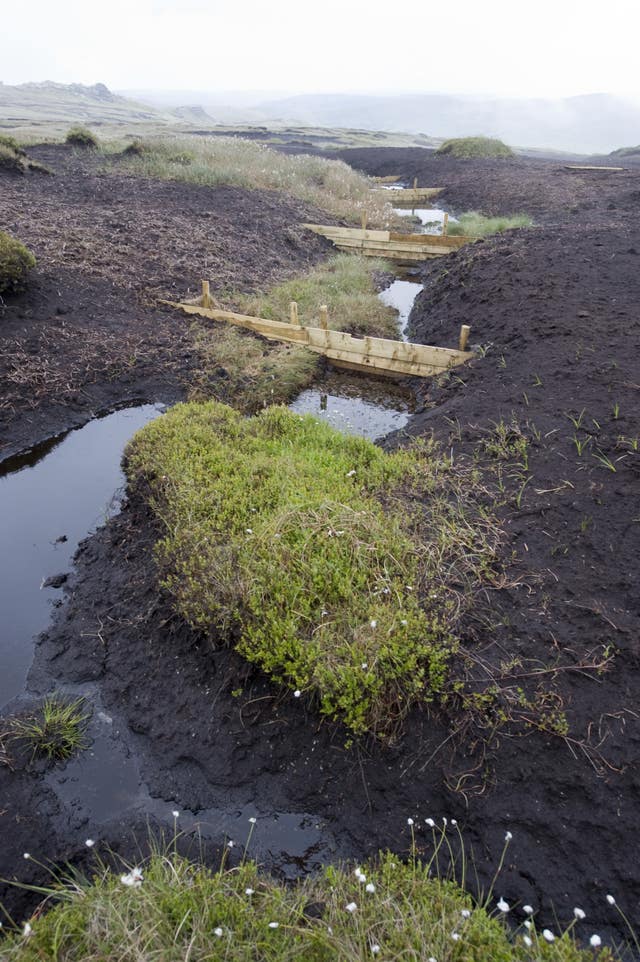 Calls for ban on peat