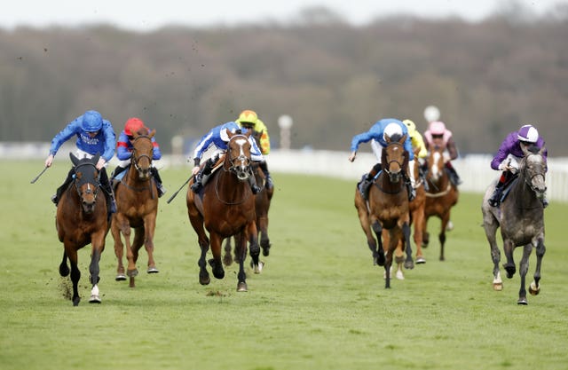 Bedouin Prince (left) looks a promising horse
