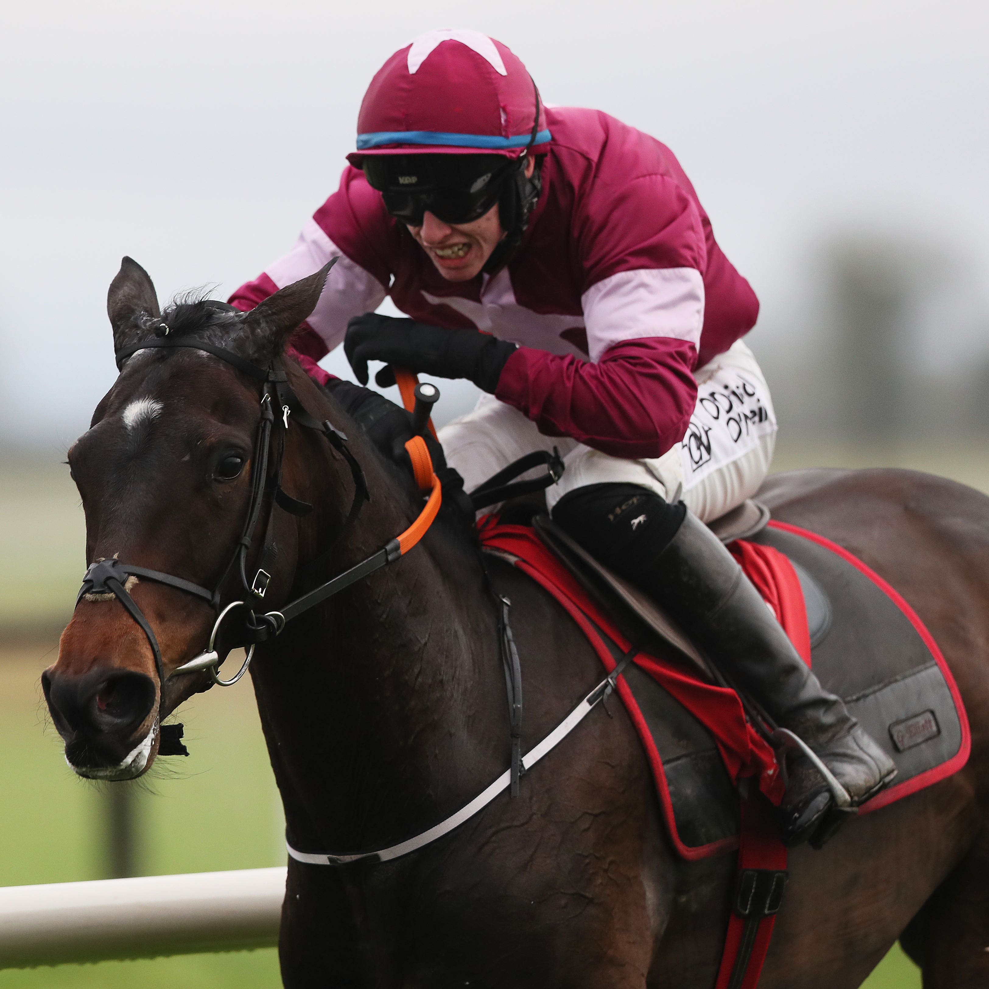 Apple's Jade will bid for a third victory in the Hatton's Grace Hurdle at Fairyhouse