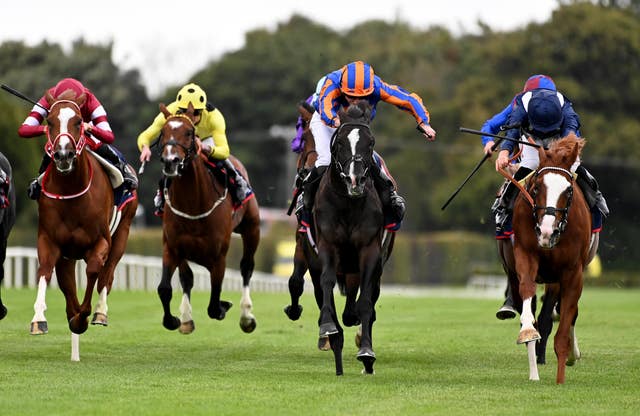 Shin Emperor (left) in the Irish Champion Stakes at Leopardstown