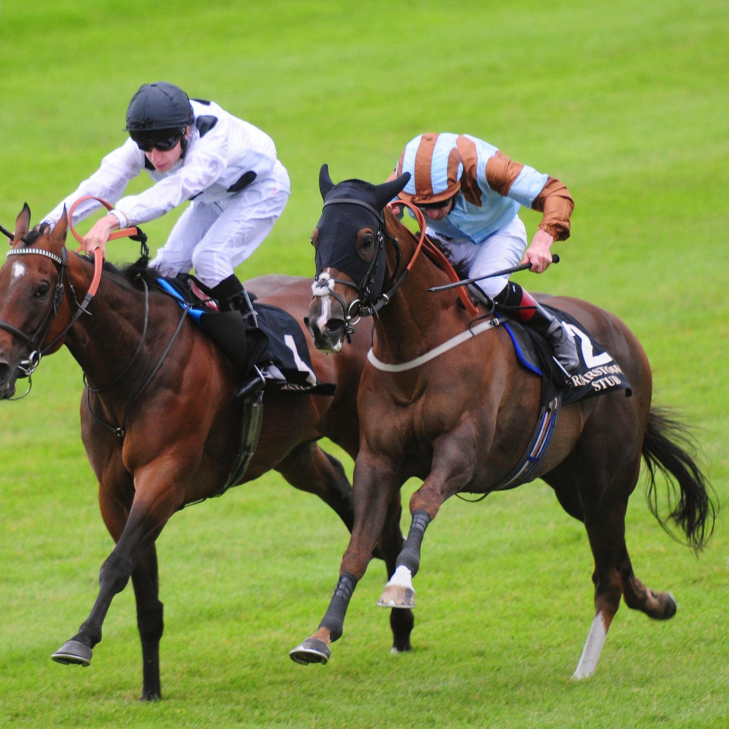 Caspian Prince (right) won the Friarstown Stud Sapphire Stakes in 2017