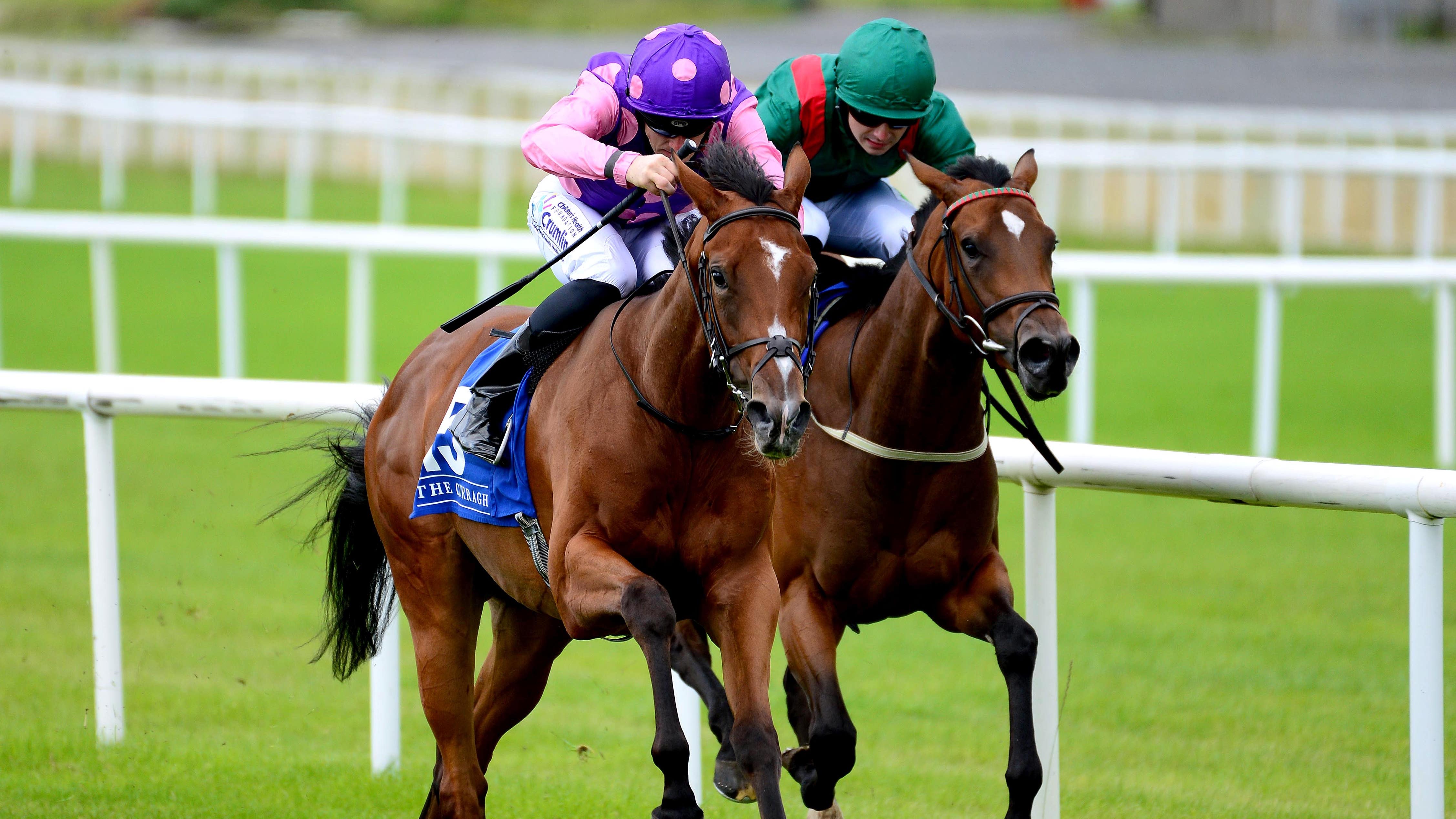 Ken Condon outlines Classic aims for star fillies - Vimarsana News