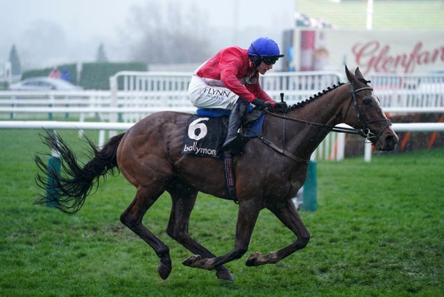 Sir Gerhard is a dual Cheltenham Festival winner