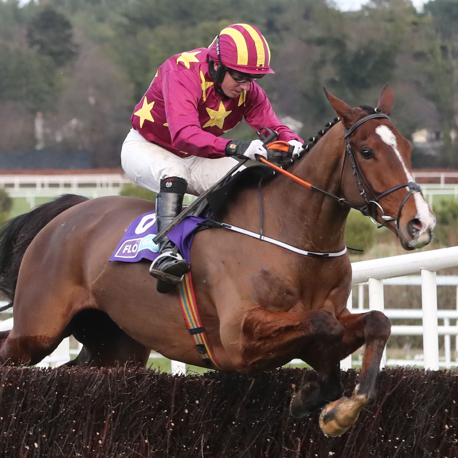 Monalee is set to run at Gowran Park on Saturday