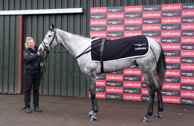 L'Eau Du Sud during a visit to Dan Skelton's yard