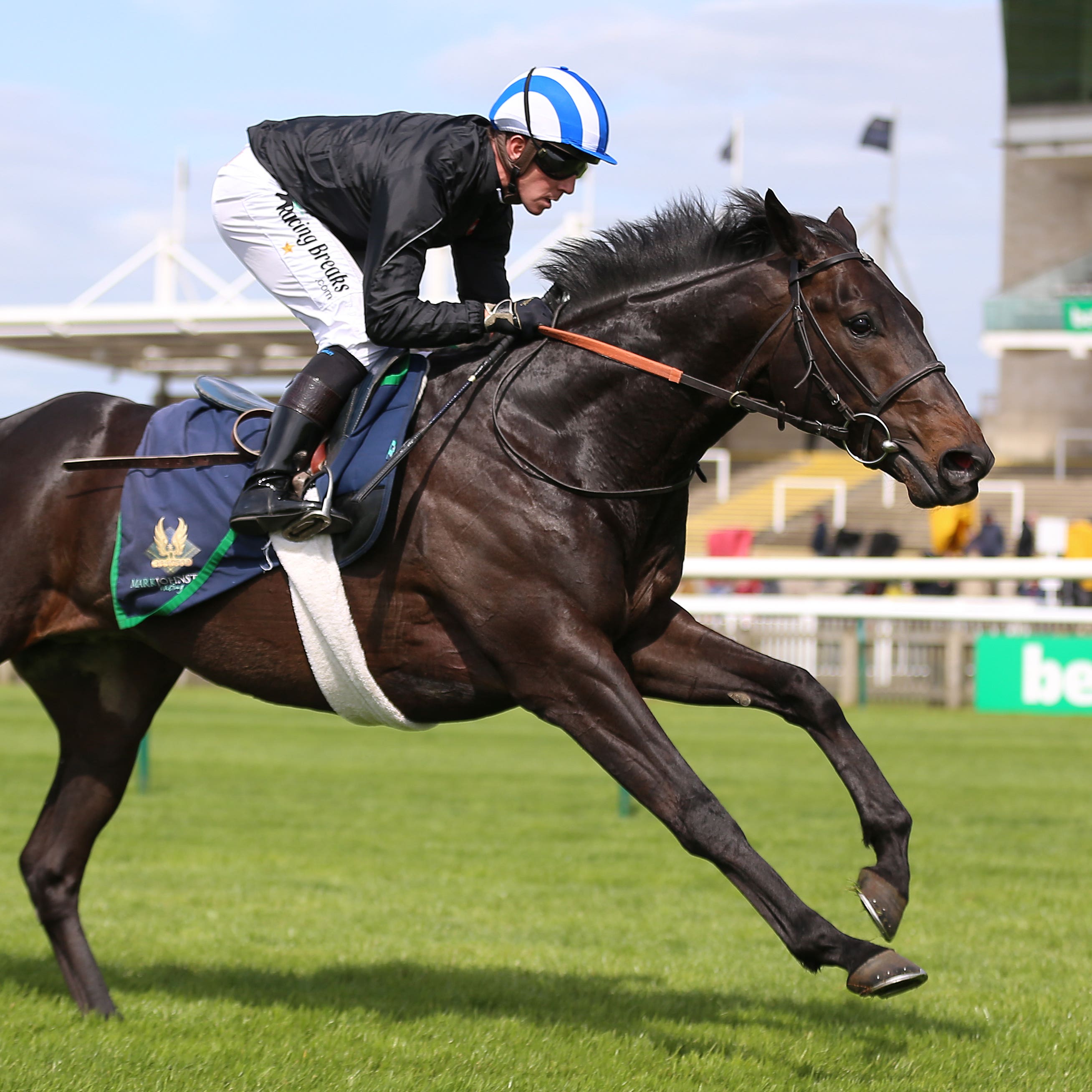 Elarqam is heading to the Curragh (Nigel French/PA)