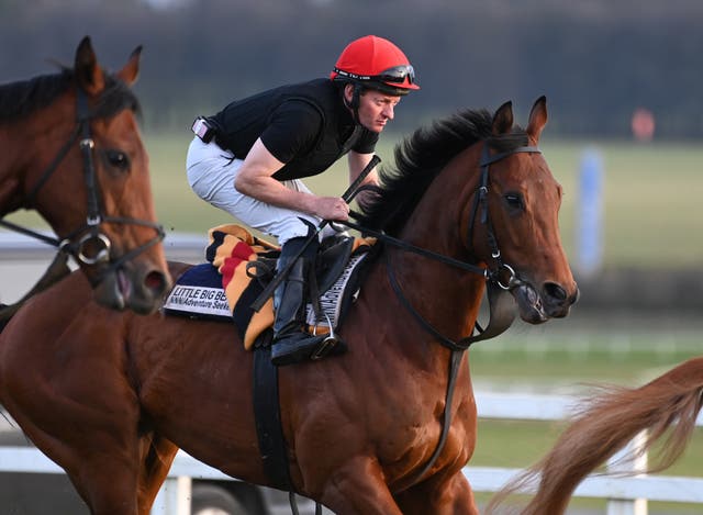 Little Big Bear in action at the Curragh on Saturday 