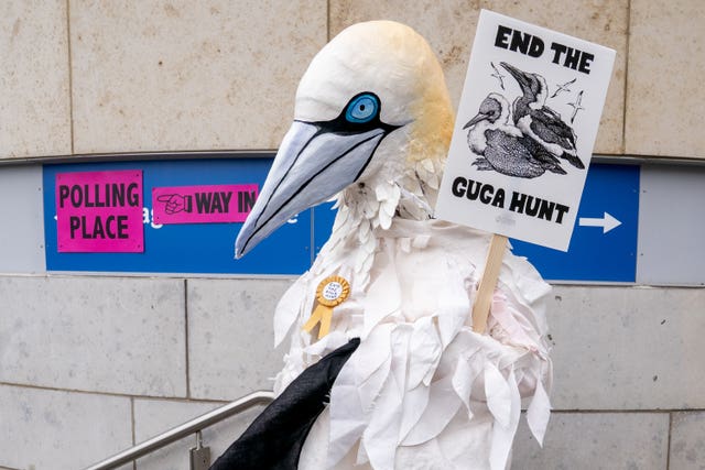 Wildlife campaigner Robert Pownall dressed as a gannet outside the Waverley Court polling station in Edinburgh