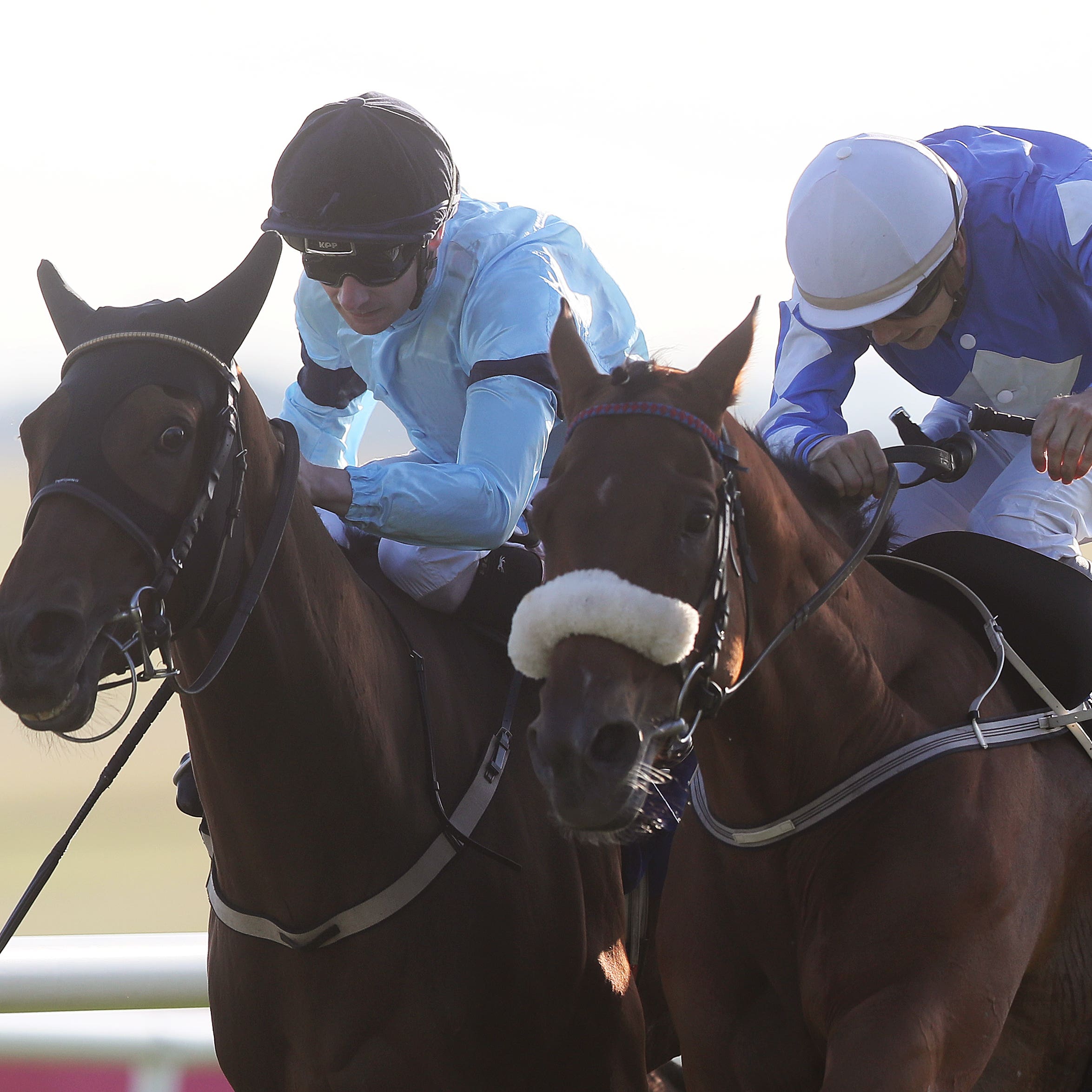 Sea the Lion (right) is being aimed at the Ebor again