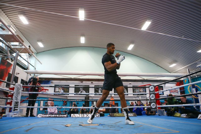 Anthony Joshua Media Session – English institute of Sport