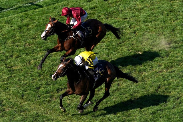 Burdett Road winning at Royal Ascot during his Flat career