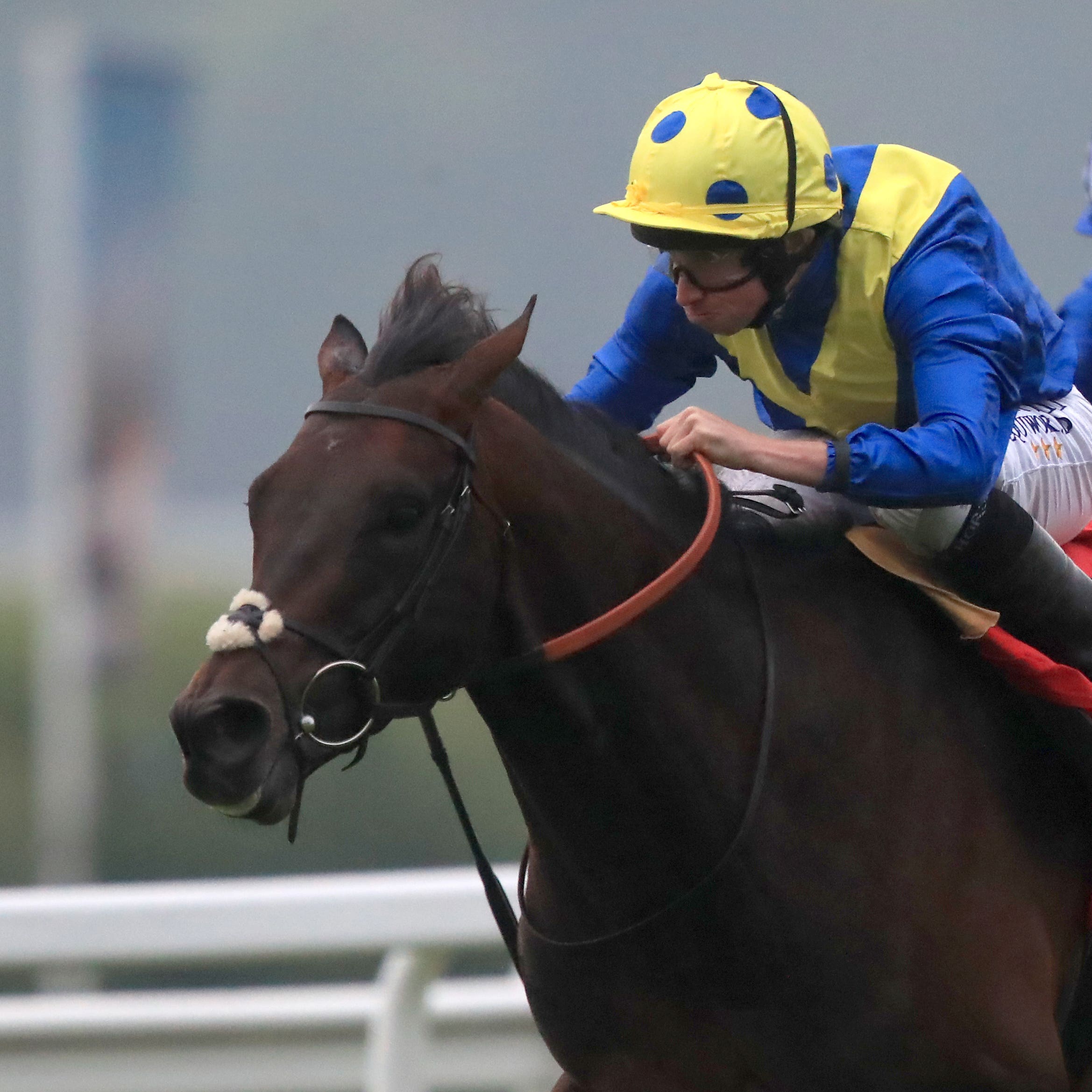 Laraaib gave Poet's Word a race at Sandown earlier in the season