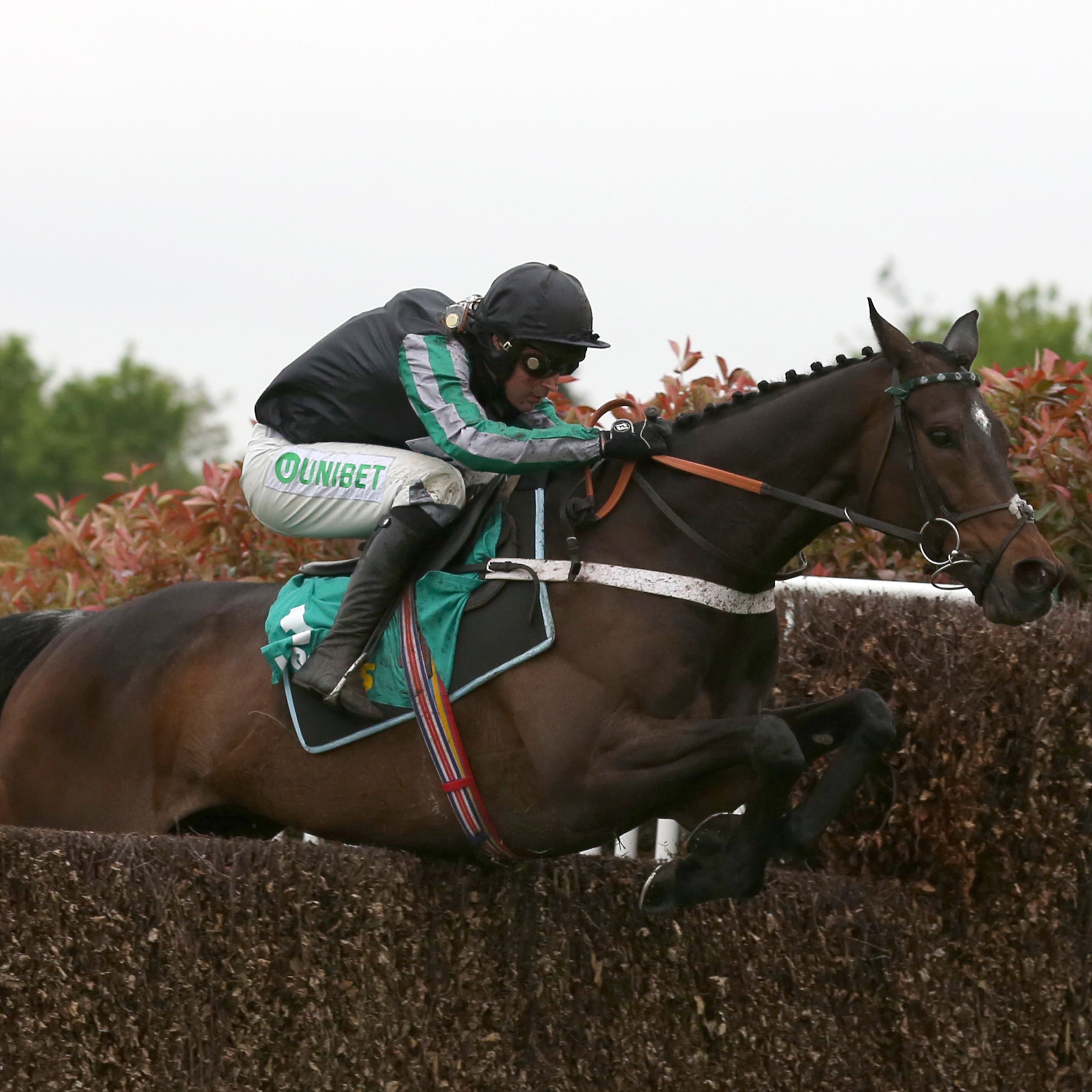 Altior will have just the three rivals in the Tingle Creek Chase at Sandown