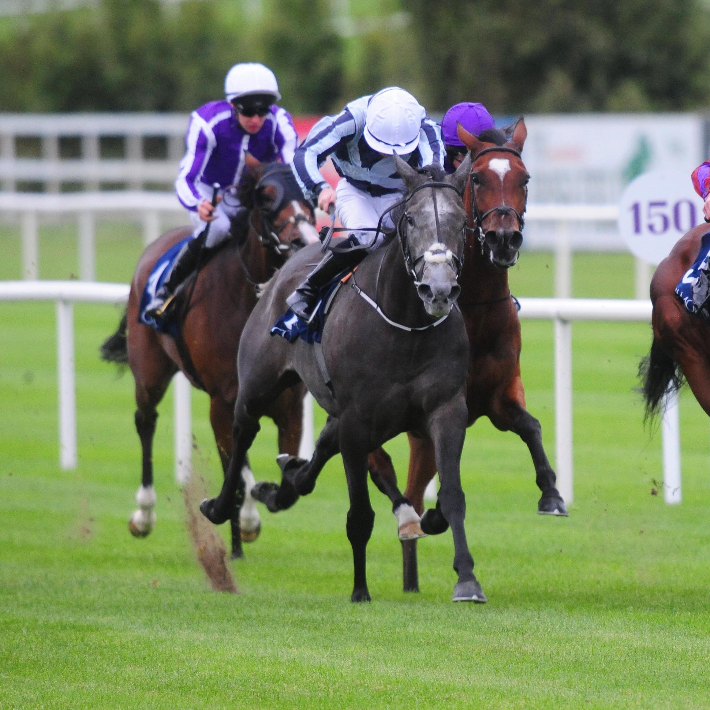 Alpha Centauri (left) picked up an injury at Leopardstown