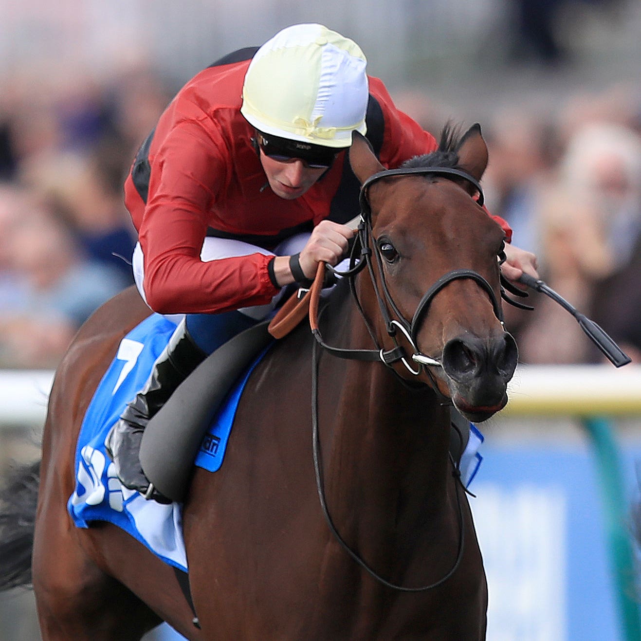 Mot Juste wins the Oh So Sharp Stakes at Newmarket