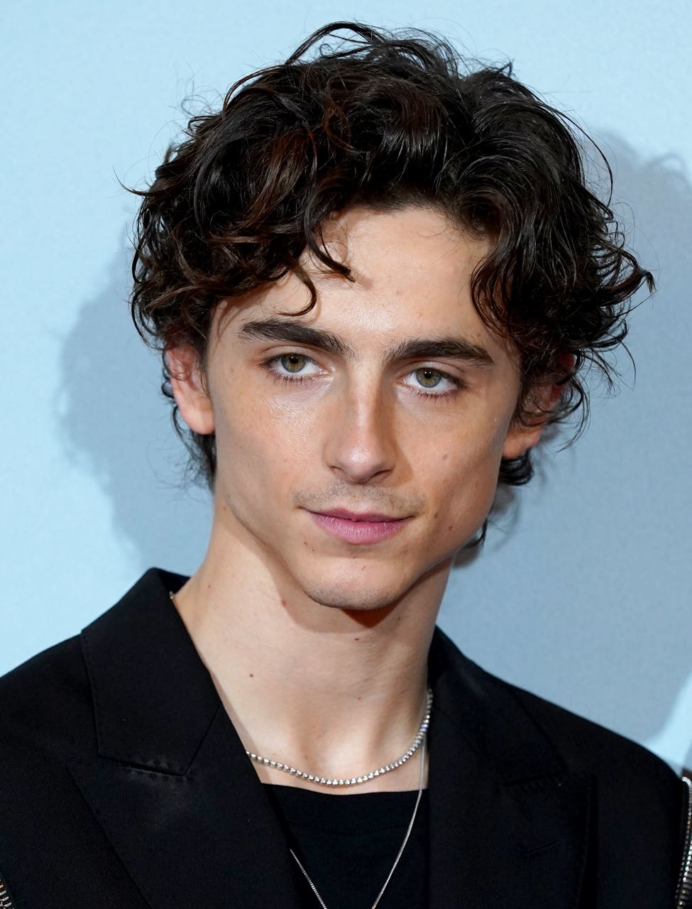 Timothee Chalamet’s Old Vic debut cancelled after pandemic delays
