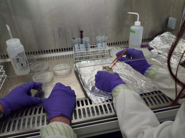 Samples being prepared for the UK-led experiment