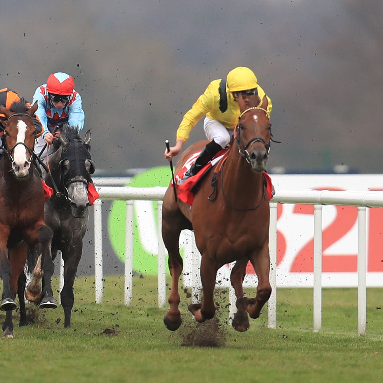Addeybb who participated in a racecourse gallop at Newmarket on Friday