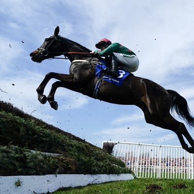 Pauling hoping Handstands can spring back to form at Wetherby