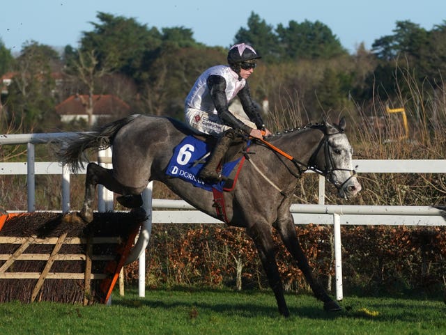 Irish Point looks a leading contender for the Aintree Hurdle 