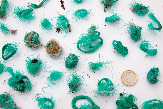 Bundles of green plastic fishing net and twine regurgitated by gulls 