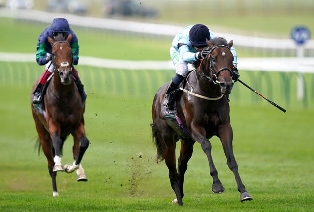Royal Patronage (right) took the Royal Lodge Stakes at Newmarket last term
