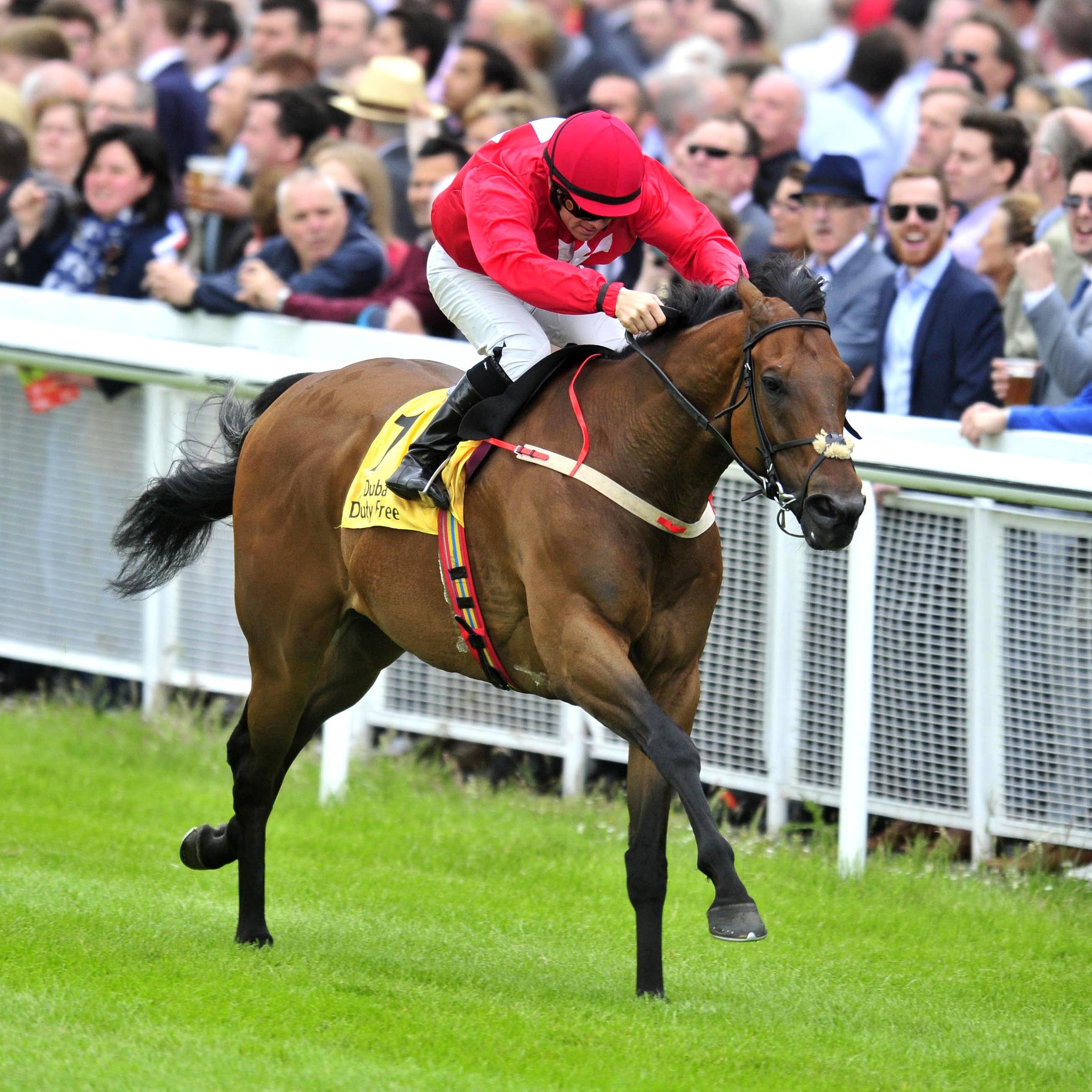 Gordon Lord Byron on his way to winning at the Curragh