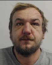 Mihae-Nicolae Patran mugshot