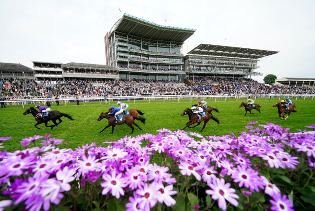 Cuban Thunder (left)was a good winner at York last time 