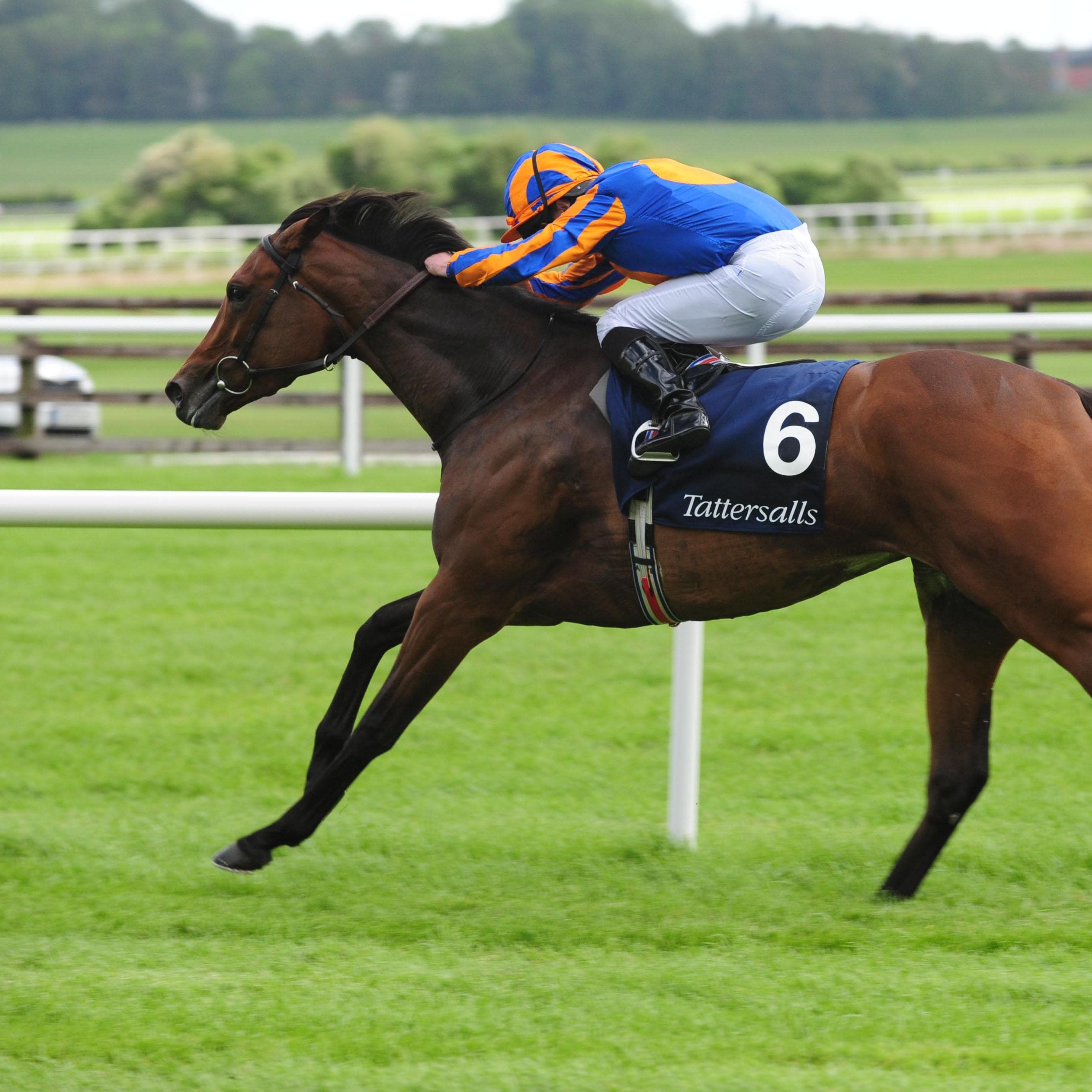 Hermosa and Ryan Moore winning the Group One Tattersalls Irish 1,000 Guineas at the Curragh