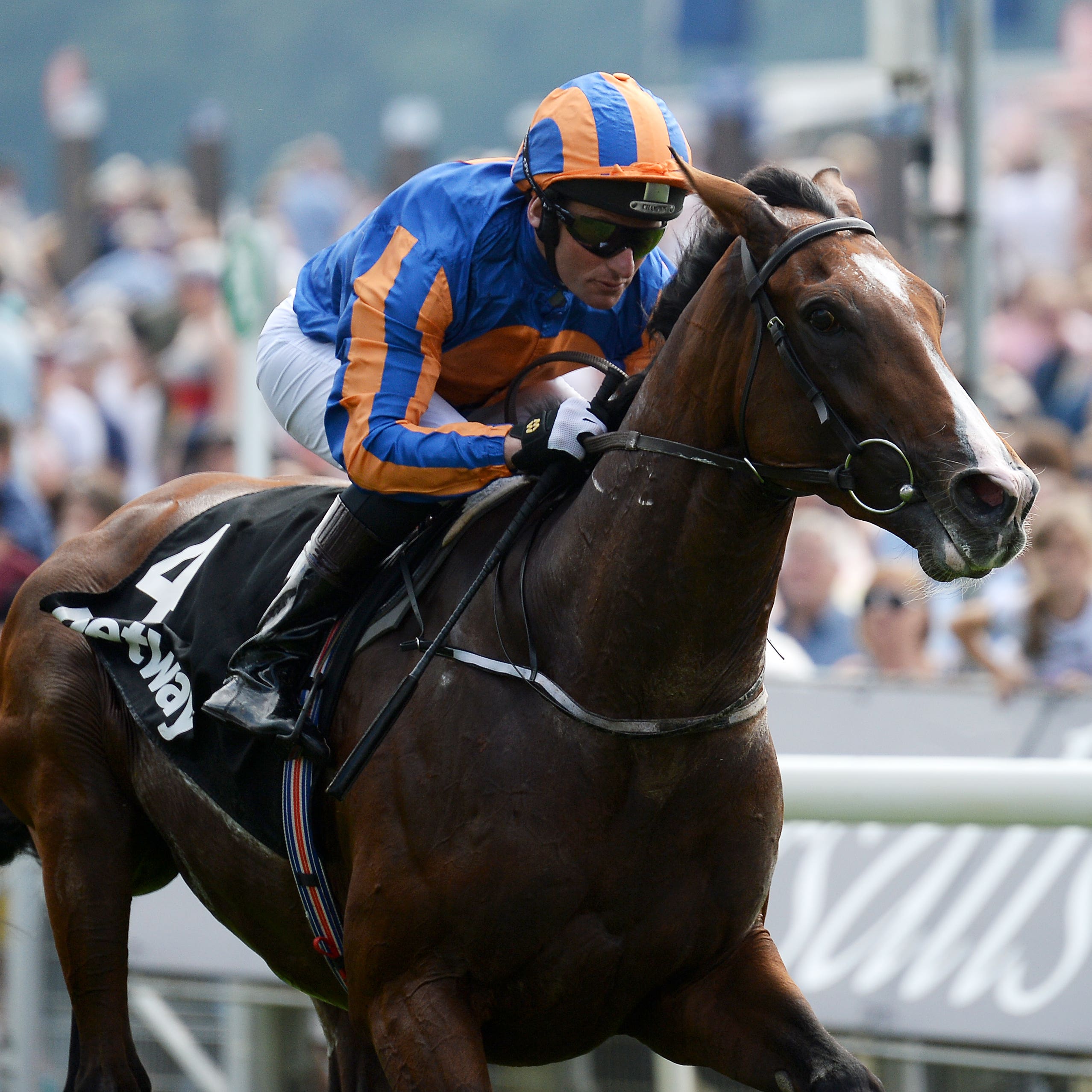 Idaho could be part of Aidan O'Brien's team at Naas on Sunday