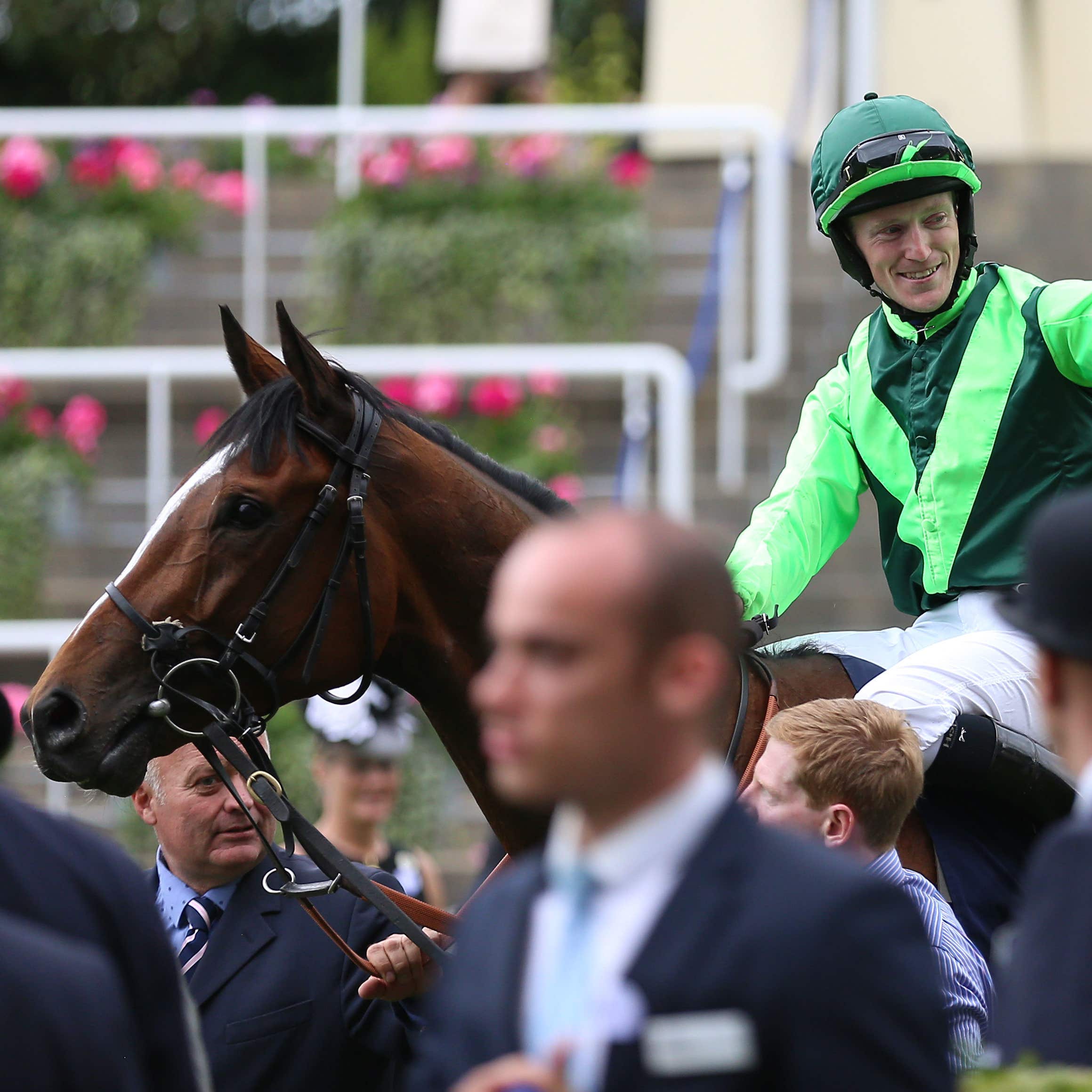 Settle For Bay after winning at Royal Ascot