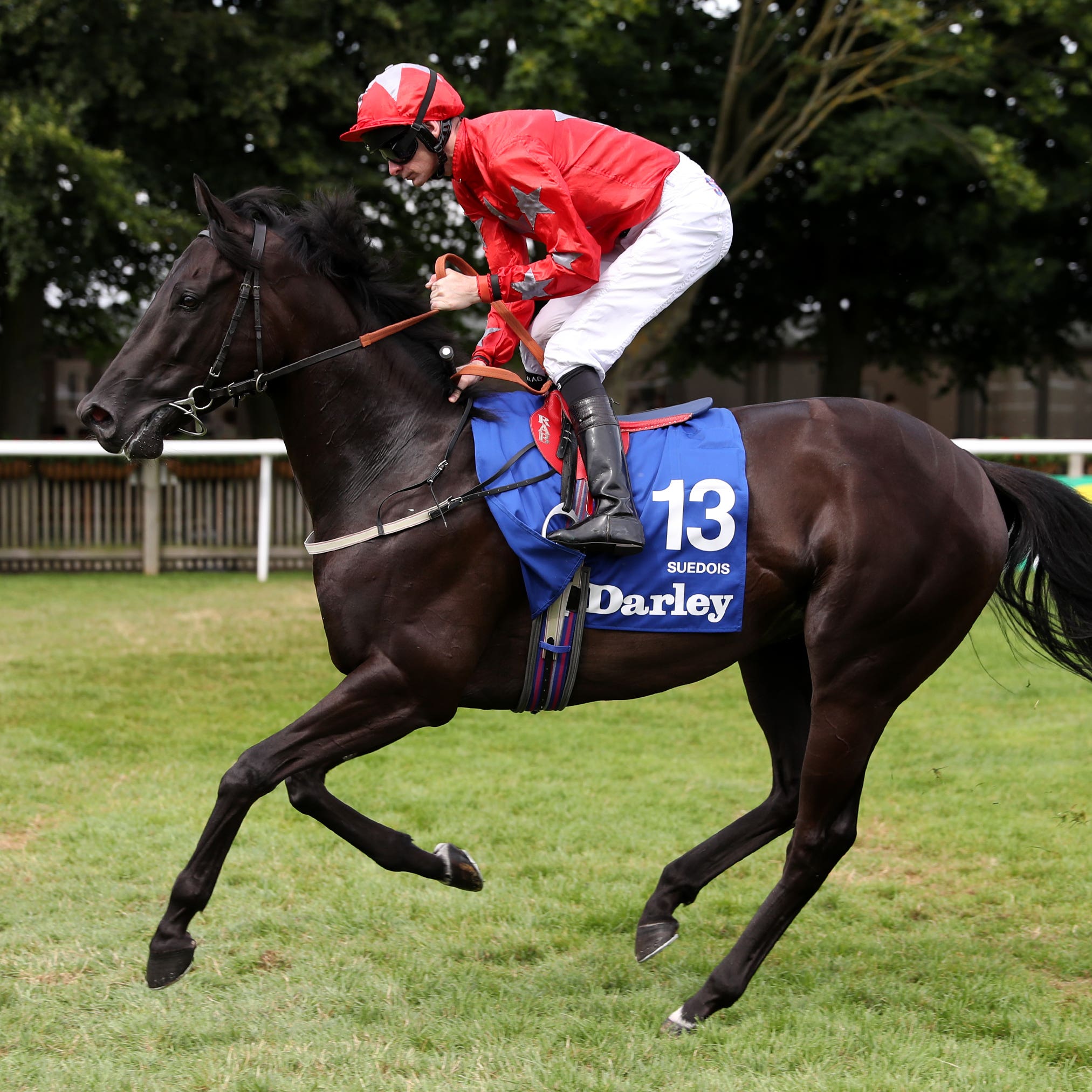 Suedois, who finished third in the Summer Mile at Ascot