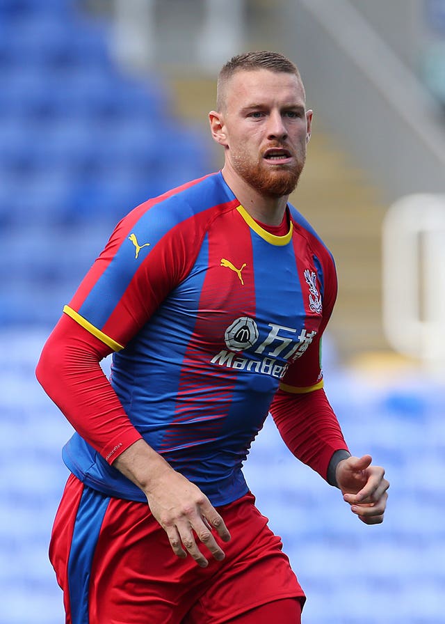 Connor Wickham says he can offer a different dimension for Crystal Palace