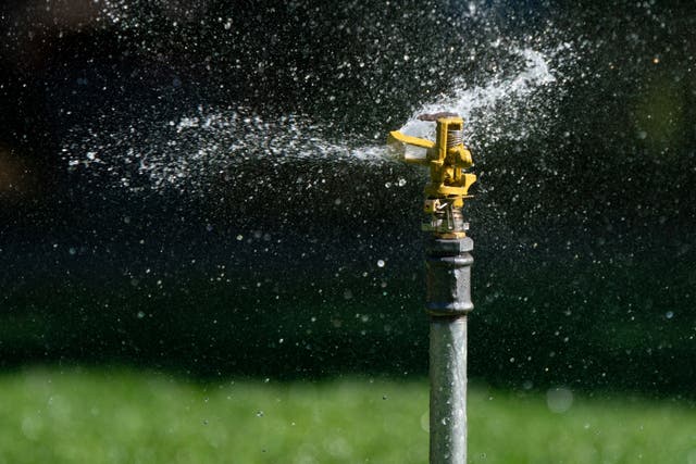 A sprinkler sprays water