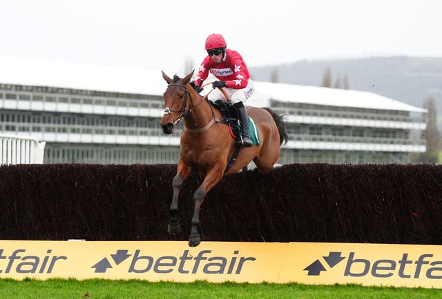 Kalif Du Berlais produced a fine round of jumping at Cheltenham